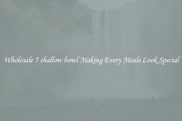 Wholesale 5 shallow bowl Making Every Meals Look Special