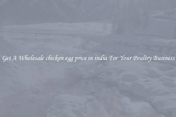 Get A Wholesale chicken egg price in india For Your Poultry Business