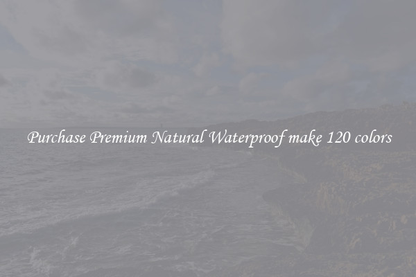 Purchase Premium Natural Waterproof make 120 colors
