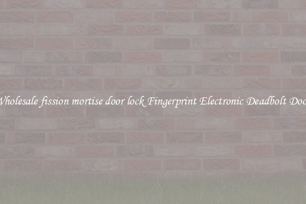 Wholesale fission mortise door lock Fingerprint Electronic Deadbolt Door 