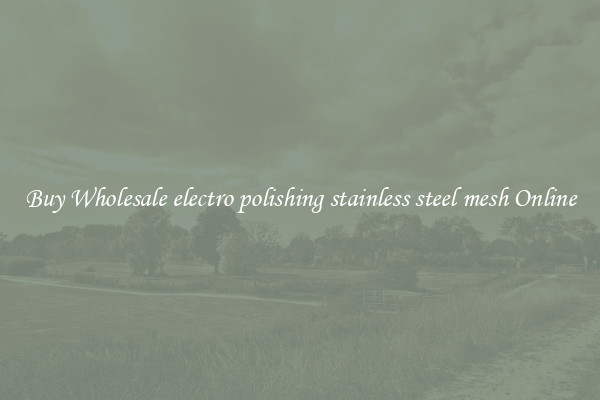Buy Wholesale electro polishing stainless steel mesh Online
