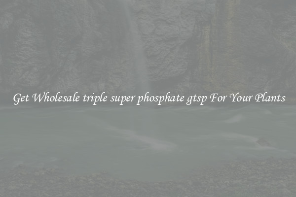 Get Wholesale triple super phosphate gtsp For Your Plants