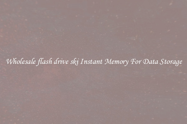 Wholesale flash drive ski Instant Memory For Data Storage