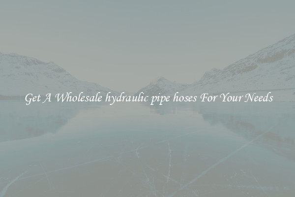 Get A Wholesale hydraulic pipe hoses For Your Needs