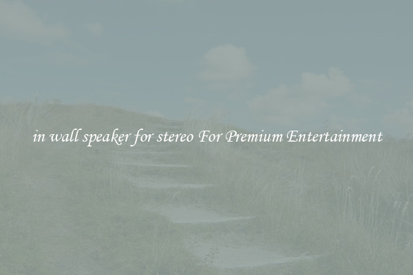 in wall speaker for stereo For Premium Entertainment