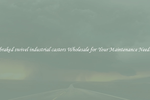 braked swivel industrial castors Wholesale for Your Maintenance Needs