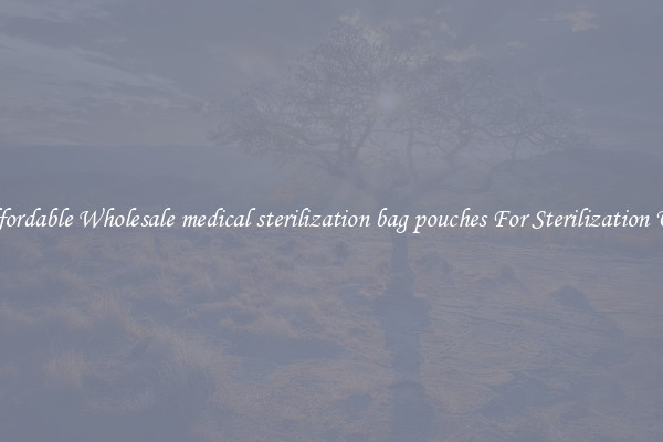 Affordable Wholesale medical sterilization bag pouches For Sterilization Use