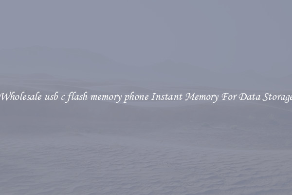 Wholesale usb c flash memory phone Instant Memory For Data Storage