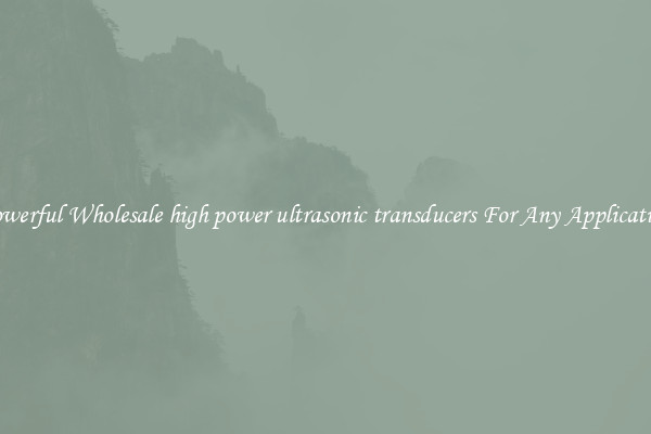 Powerful Wholesale high power ultrasonic transducers For Any Application